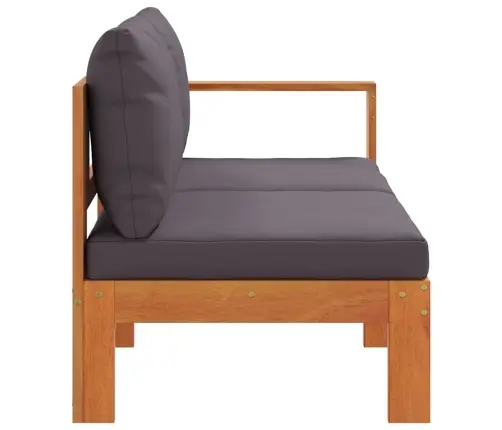 Divvietīgs Dārza Dīvāns Ar 1 Roku Balstu, Akācijas Masīvkoks Vidaxl