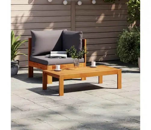 Sodo Sofos Komplektas Su Pagalvėmis, 2 Dalių, Akacijos Masyvas