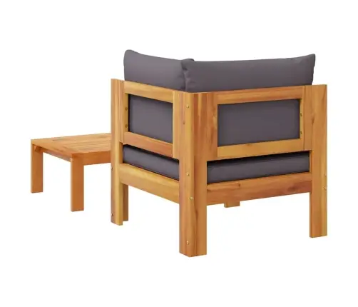 Sodo Sofos Komplektas Su Pagalvėmis, 2 Dalių, Akacijos Masyvas