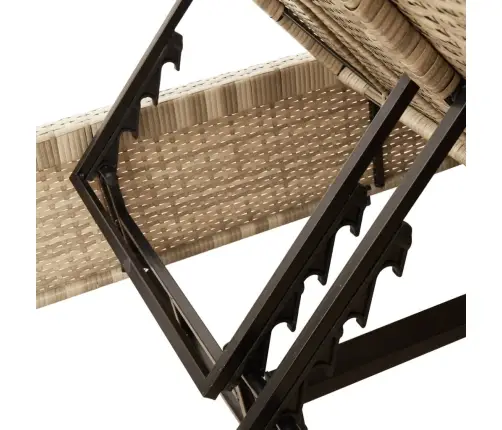 Divvietīgs Sauļošanās Krēsls Ar Matračiem, Bēša Pe Rotangpalma Vidaxl