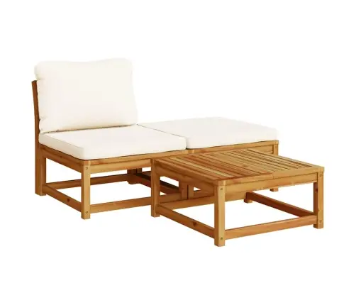 3-Osaline Aiamööbli Komplekt Patjadega, Akaatsiapuit Vidaxl