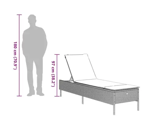 Saulės Gultas Su Pagalvėlėmis, Rudos Spalvos, Poliratanas