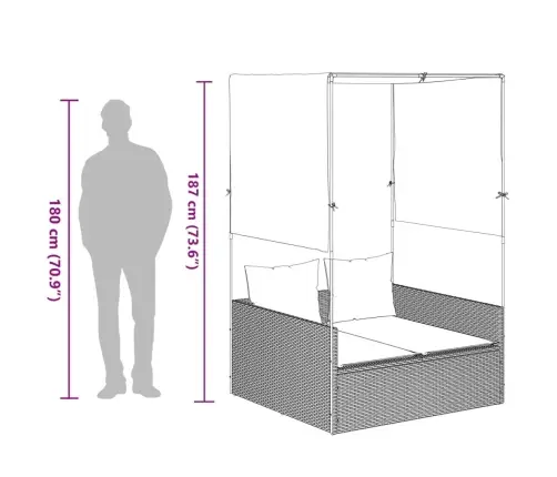 Divvietīgs Sauļošanās Krēsls Ar Jumtu Un Aizkariem, Melns Pe Vidaxl