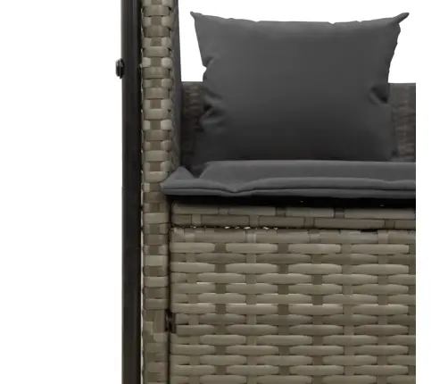 Divvietīgs Sauļošanās Krēsls Ar Jumtu Un Aizkariem, Pelēka Pe Vidaxl