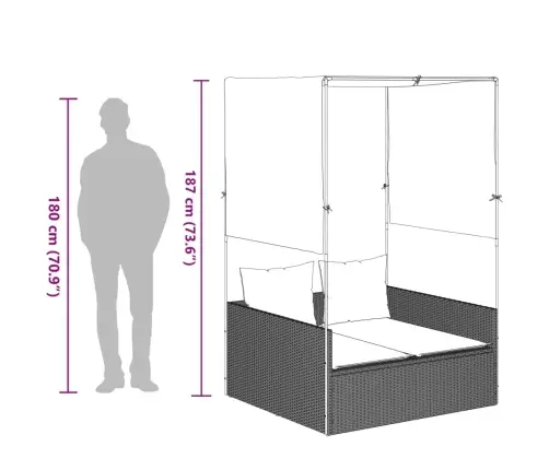 Kahekohaline Päevitustool Katuse Ja Kardinatega Helehall Rotang