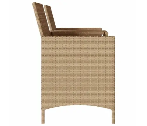 Divvietīgs Dārza Dīvāns Ar Galdiņu Un Spilveniem Pe Rotangpalma Vidaxl