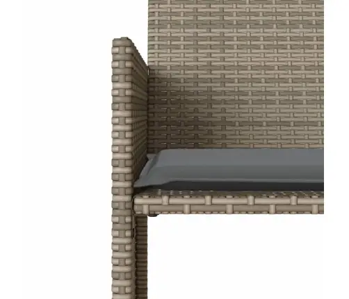 Divvietīgs Dārza Dīvāns Ar Galdiņu Un Soliem, Pelēks, Pe Vidaxl