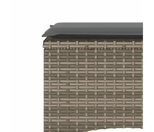 Divvietīgs Dārza Dīvāns Ar Galdiņu Un Soliem, Pelēks, Pe Vidaxl