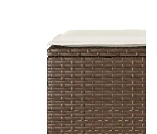 Bistro Komplektas Su Pagalvėlėmis, 3 Dalių, Rudas, Poliratanas