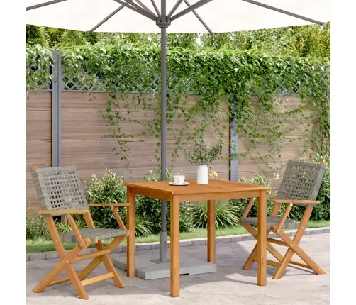 Sodo Kėdės, 2Vnt., Pilkos, Akacijos Masyvas Ir Poliratanas