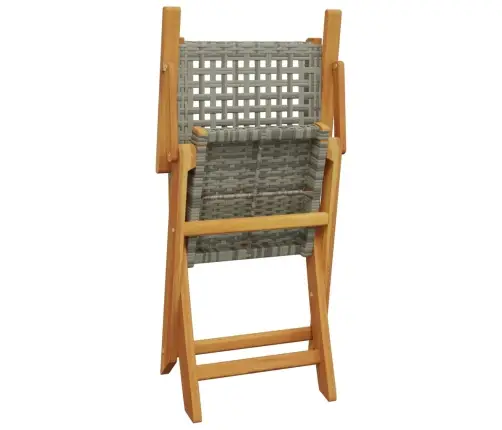 Sodo Kėdės, 2Vnt., Pilkos, Akacijos Masyvas Ir Poliratanas