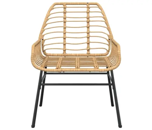 Dārza Krēsli, 2 Gab., Brūns Pe Rotangpalmas Pinums Vidaxl