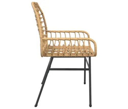 Dārza Krēsli, 2 Gab., Brūns Pe Rotangpalmas Pinums Vidaxl