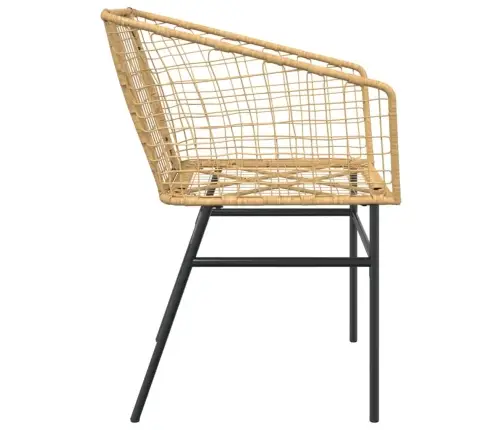 Aiatoolid 2 Tk, Pruun, Polürotang