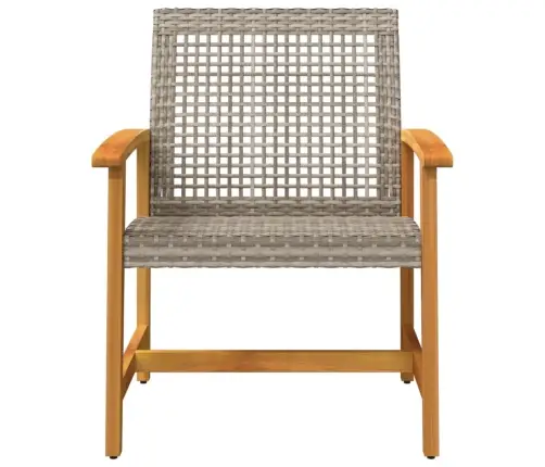 Dārza Krēsli, 2 Gab., Pelēka Pe Rotangpalma, Akācijas Koks Vidaxl