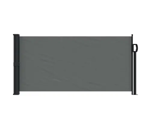 Izvelkama Sānu Markīze, Antracītpelēks, 100X300 Cm Vidaxl