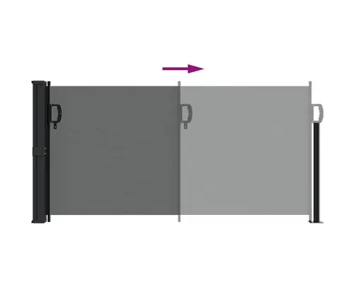Izvelkama Sānu Markīze, Antracītpelēks, 100X300 Cm Vidaxl