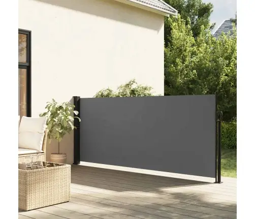 Izvelkama Sānu Markīze, Antracītpelēks, 100X300 Cm Vidaxl