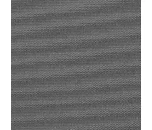 Izvelkama Sānu Markīze, Antracītpelēka, 180X300 Cm Vidaxl