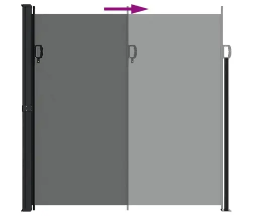 Ištraukiama Šoninė Markizė, Antracito Spalvos, 200X300 Cm