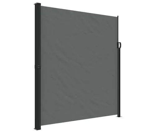 Izvelkama Sānu Markīze, Antracītpelēka, 220X300 Cm Vidaxl