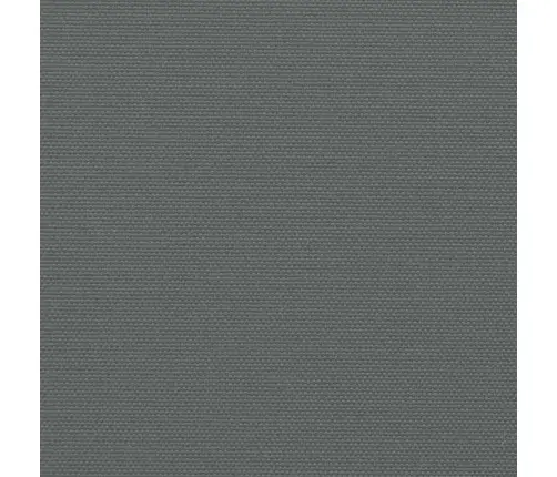 Izvelkama Sānu Markīze, Antracītpelēka, 220X300 Cm Vidaxl