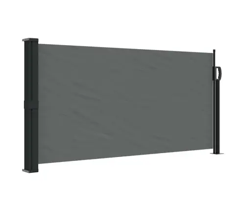 Izvelkama Sānu Markīze, Antracītpelēka, 100X500 Cm Vidaxl