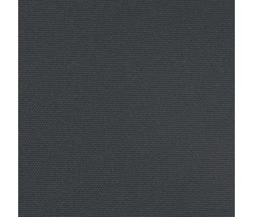 Izvelkams Sānu Aizslietnis, Melns, 120X600 Cm Vidaxl