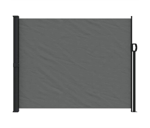 Izvelkams Sānu Aizslietnis, Antracītpelēks, 160X600 Cm Vidaxl