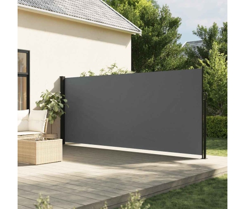 Izvelkams Sānu Aizslietnis, Antracītpelēks, 160X600 Cm Vidaxl