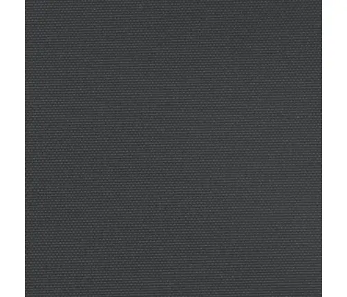 Lahtitõmmatav Külgsein, Must, 100 X 600 Cm