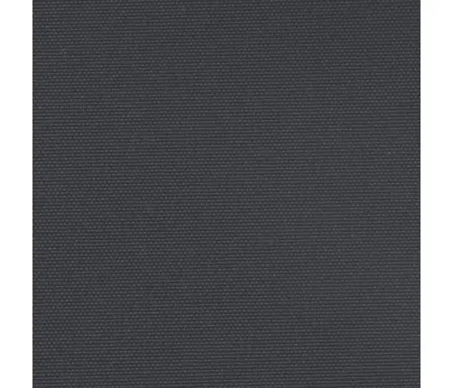 Izvelkama Sānu Markīze, Melna, 200X600 Cm Vidaxl