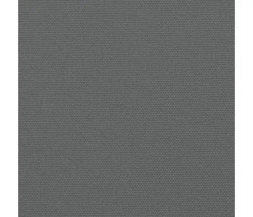 Ištraukiama Šoninė Pertvara, Antracito Spalvos, 160X1000Cm