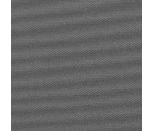 Izvelkama Sānu Markīze, Antracītpelēka, 200X1000 Cm Vidaxl