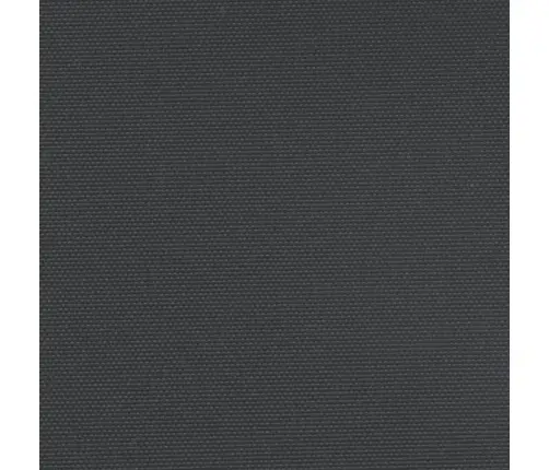 Ištraukiama Šoninė Markizė, Juodos Spalvos, 200X1200Cm
