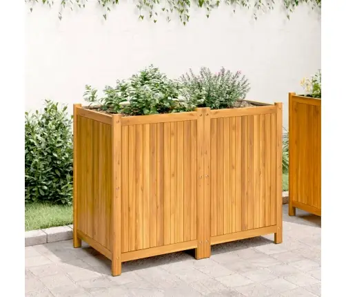 Voodriga Taimelava, 100X50X75 cm Akaatsiapuit