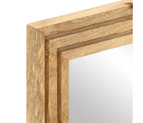 Vannitoapeegel, 50 X 70 cm Töötlemata Mangopuit Ja Klaas