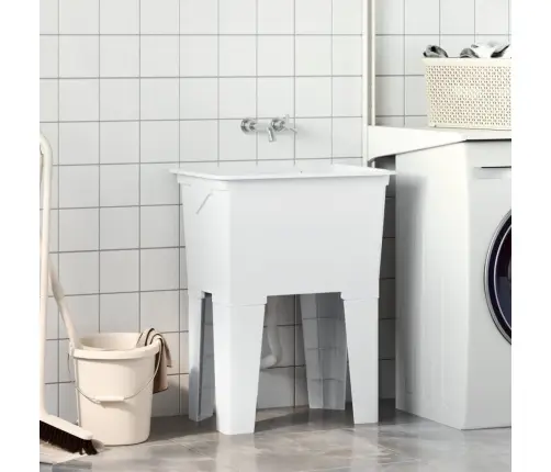 Praustuvas Skalbiniams, Baltos Spalvos, 59X41X75cm Derva