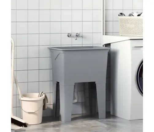 Veļas Bļoda, Pelēka, 59X41X75 Cm, Sveķi Vidaxl