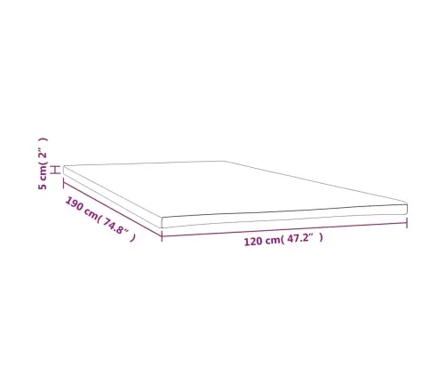 Virsmatracis, 120X190X5 Cm Vidaxl