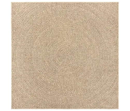 Paklājs Zizur, 120X120Cm Džutas Izskats Lietojams Telpās Un Ārā Vidaxl