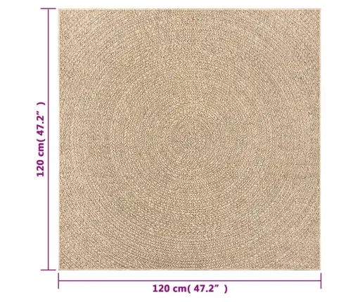 Paklājs Zizur, 120X120Cm Džutas Izskats Lietojams Telpās Un Ārā Vidaxl