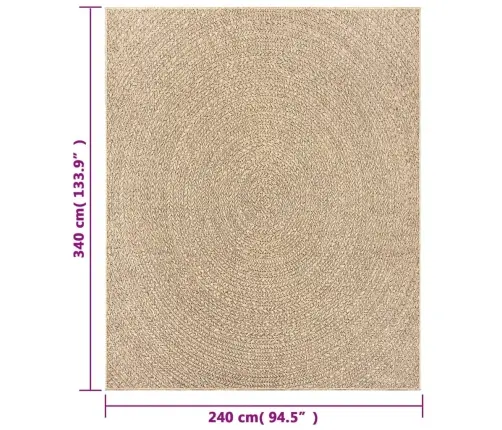 Paklājs Zizur, 240X340Cm Džutas Izskats Lietojams Telpās Un Ārā Vidaxl