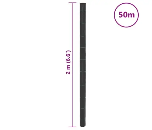 Augsnes Pārsegs, Melns, 2X50 M, Pp Vidaxl