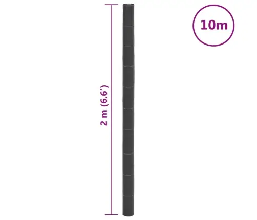 Membrana Nuo Piktžolių, Juodos Spalvos, 2X10M, Pp