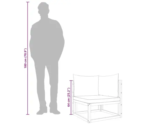 Sodo Sofos Komplektas Su Pagalvėmis, 2 Dalių, Akacijos Masyvas
