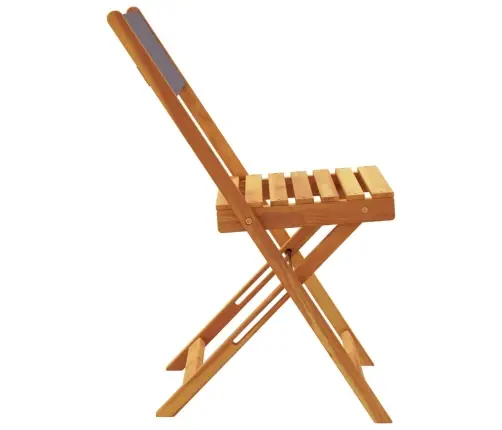 Kokkupandavad Aiatoolid 6 Tk, Antratsiithall, Kangas Ja Puit