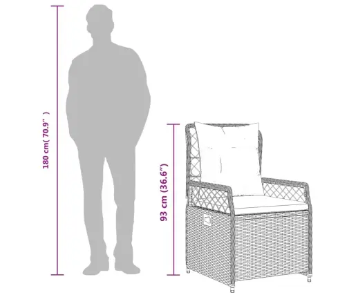 Atgāžami Dārza Krēsli, 2 Gab., Pelēka Pe Rotangpalma Vidaxl