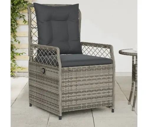 Atgāžami Dārza Krēsli, 2 Gab., Pelēka Pe Rotangpalma Vidaxl