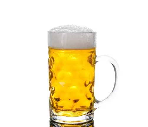 Alus Kausi Ar Rokturi, 6 Gab., 1000 Ml Vidaxl